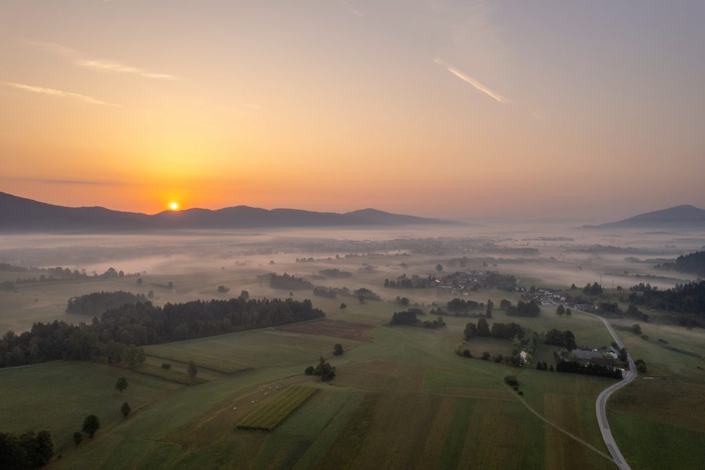Ribnica