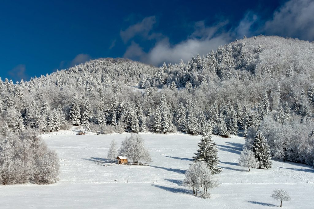 Velike Poljane